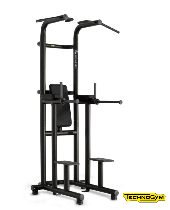 TECHNOGYM CHIN DIP